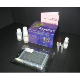 花生四烯酸5脂加氧酶試劑盒_上海豐壽實業(yè)