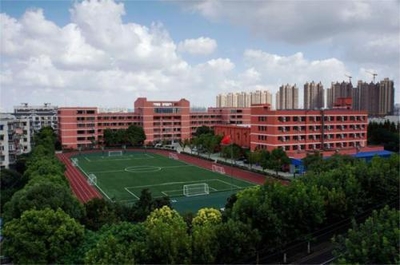 上海民辦高中排行榜,西南位育中學位居榜首