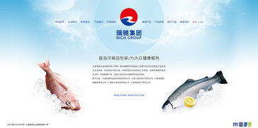 海產(chǎn)品企業(yè)網(wǎng)站設(shè)計 打造數(shù)字化窗口，連接全球海洋美味